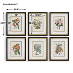 Orchid - Botanical Framed Prints (Set of 6) - Black / Blue / Gold / Green / Orange / Pink / Purple / Red