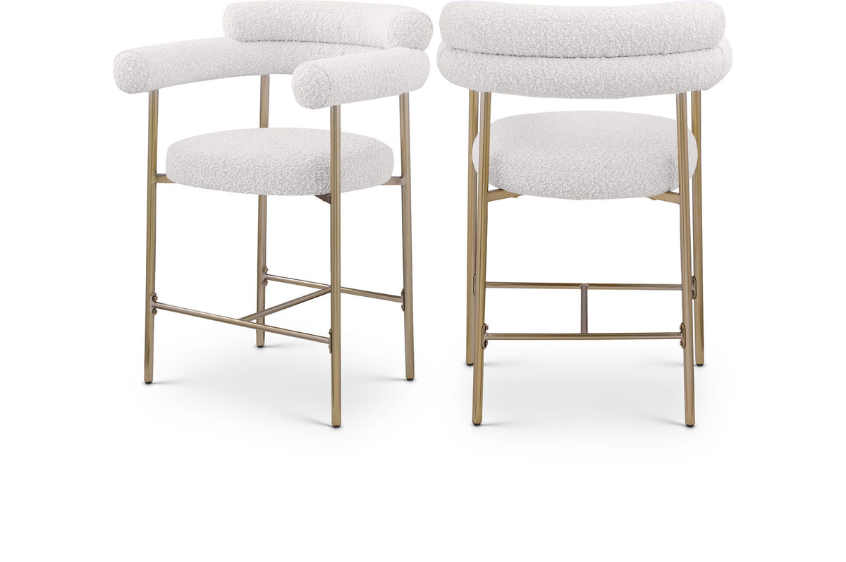 Blake - Counter Stool (Set of 2)