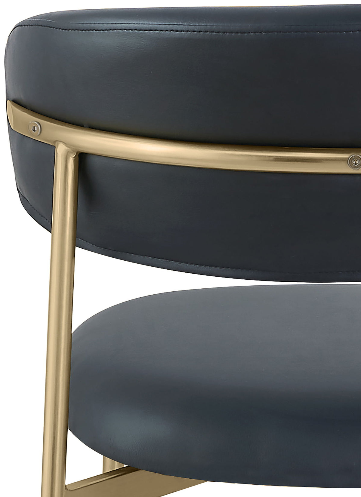 Lupita - Dining Chair With Brushed Gold Legs (Set of 2)