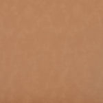 Ronda - Vegan Leather Upholstered Dining Arm Chair - Natural Legs