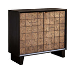Muestra - Wood Grain 2 Door Cabinet - Black / Woodtone