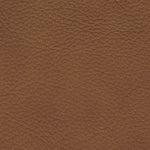 Magic Man - Reclining Sectional