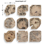 Bahati - Wood Bleached Wall Decor (Set of 9) - Brown