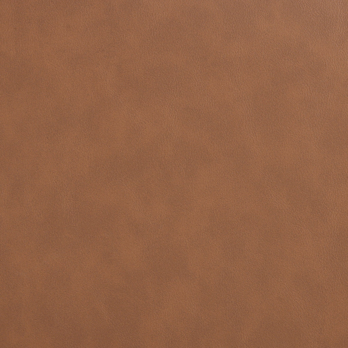 Navo - Faux Leather Dining Chair
