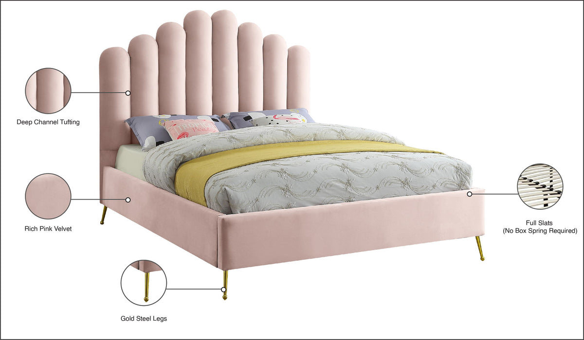 Lily - Bed