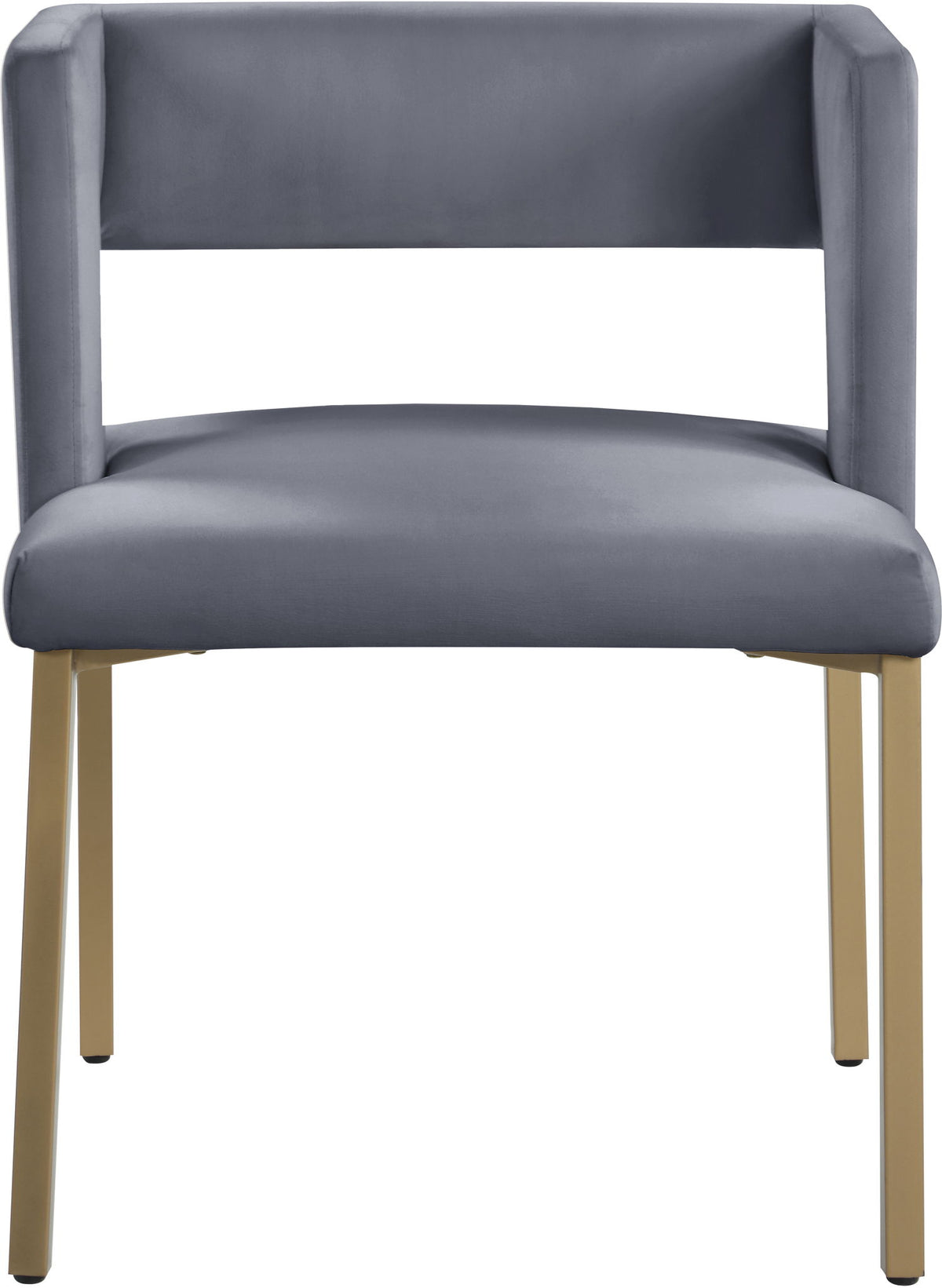 Caleb - Dining Chair with Gold Legs (Set of 2)