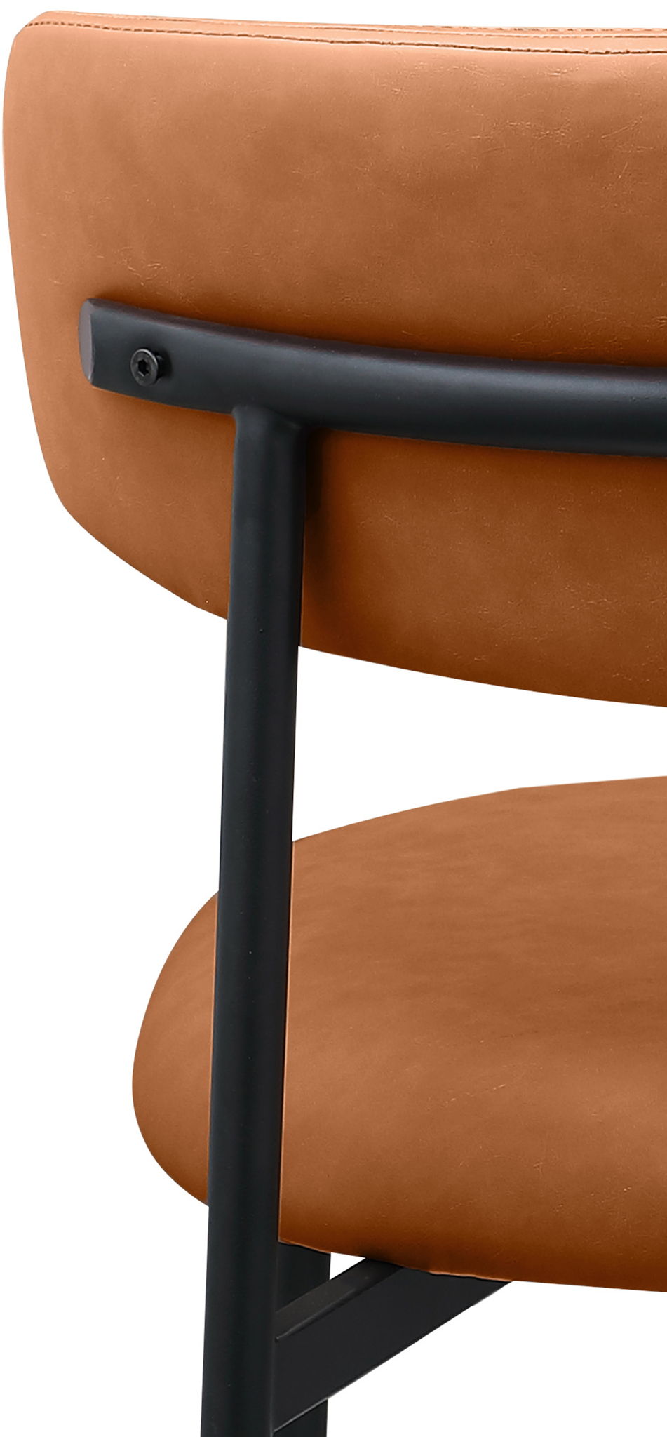 Lupita - Dining Chair (Set of 2)