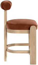 Arienzo - Velvet Performance Fabric Upholstered Counter Stool (Set of 2)