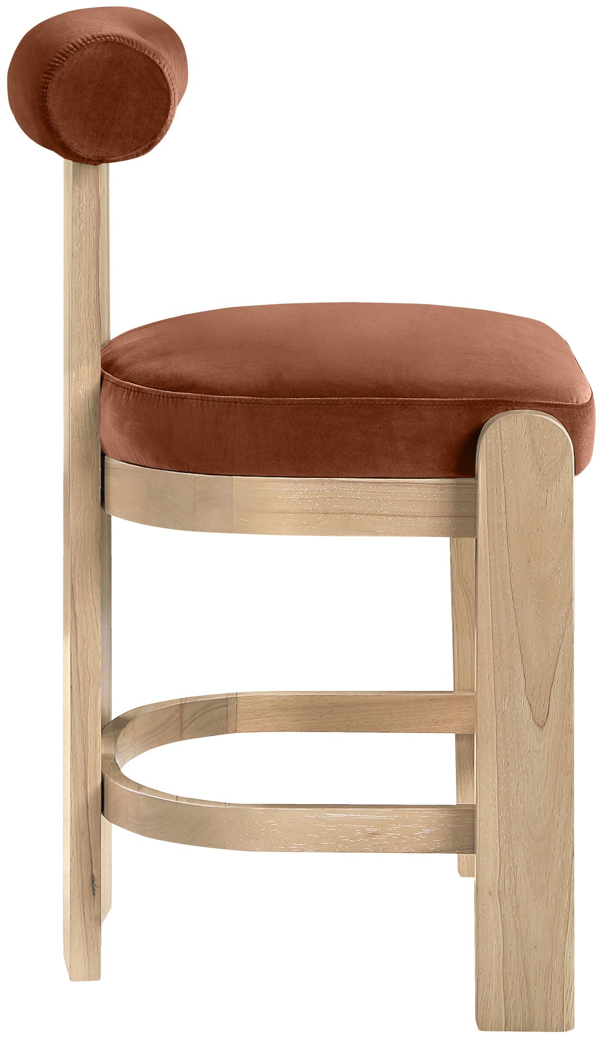 Arienzo - Velvet Performance Fabric Upholstered Counter Stool (Set of 2)
