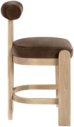 Arienzo - Velvet Performance Fabric Upholstered Counter Stool (Set of 2)