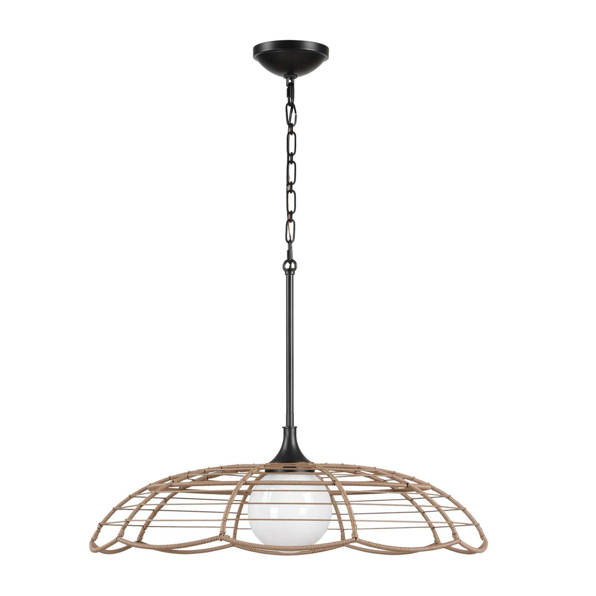 Lakeside - Indoor-Outdoor 1 Light Pendant - Black