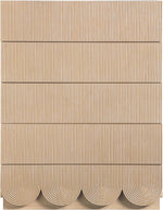 Scallop - Chest