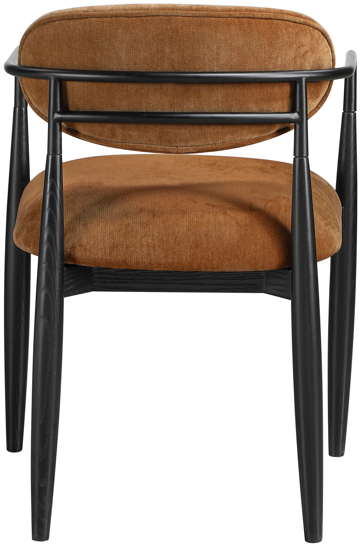 Riccio - Fabric Dining Arm Chair (Set of 2) - Black Frame