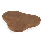 Larch - Modern Walnut Nesting Table Set by VIG Furniture - View 6
