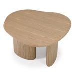 Raywood - Modern 3-Piece Buckwheat + Onyx Nesting Coffee Table Set by VIG Furniture - View 9
