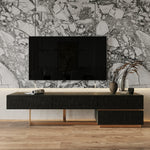 Tasha - Modern Black Ash + Brushed Gold TV Stand by VIG Furniture - View 2